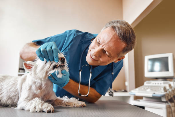 Best Weekend Emergency Dentist in Bardonia, NY